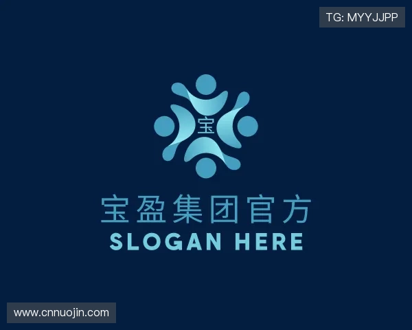 关于宝盈集团bbin网址